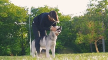 husky Park hipster kadınla
