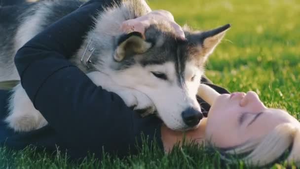 Mujer hipster con husky en el parque — Vídeo de stock