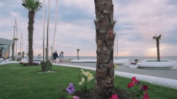 Couple with Quad Roller Skates — Stock Video