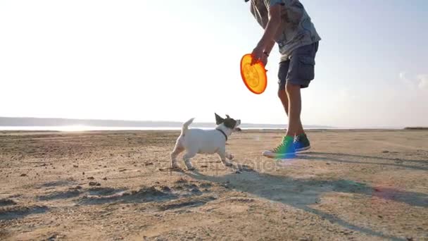 若い男がビーチで子犬と遊んで — ストック動画