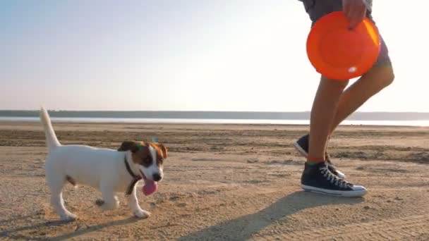 Genç adam köpekle kumsalda oynarken — Stok video