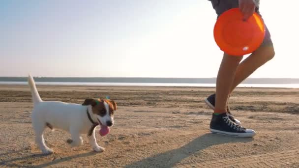 Young man playing with puppy on beach — Stock Video