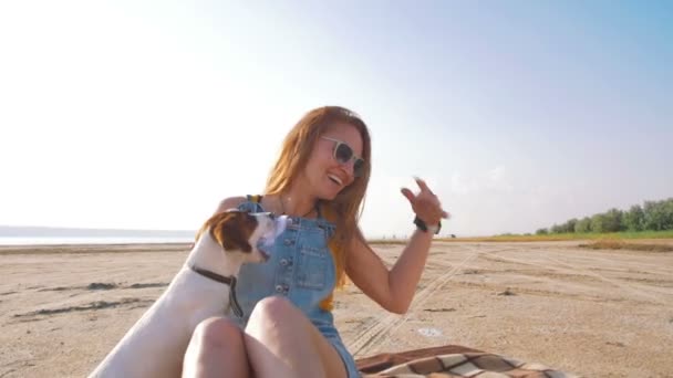 子犬と遊ぶ若い女性 — ストック動画