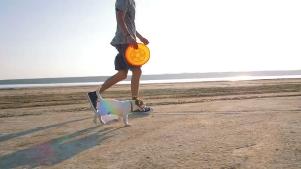 Junger Mann spielt mit Welpe am Strand — Stockvideo