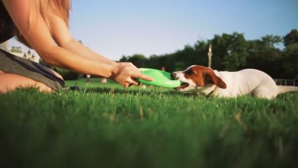 Mujer jugar con poco perro — Vídeos de Stock