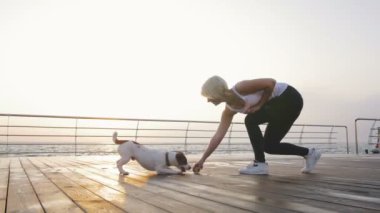 kadın oyun ile jack russell köpek 