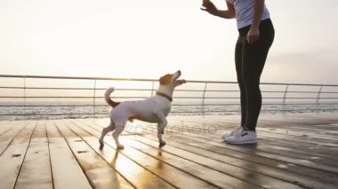 köpek ile kadın oyun 