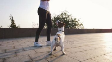 köpek ile kadın oyun 