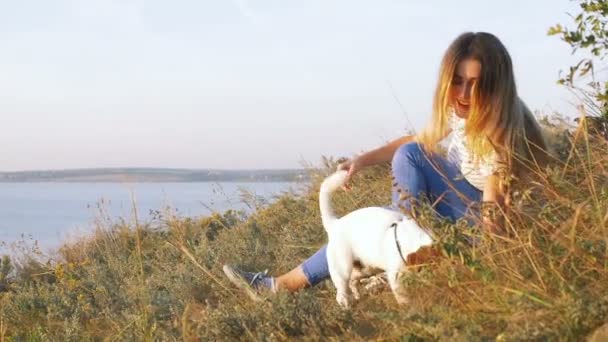 Mulher jogar com cachorro — Vídeo de Stock