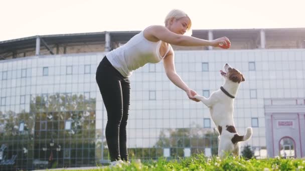 Mujer con perro cerca de edificio moderno — Vídeos de Stock