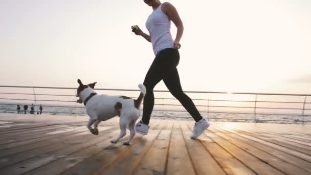 Vrouw spelen met de hond bij zonsondergang — Stockvideo