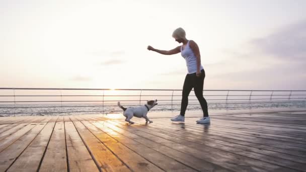 Köpek ile kadın oynayan günbatımı — Stok video