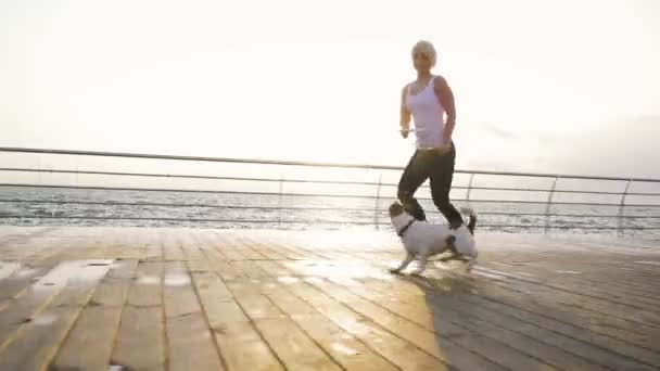 Жінка грати з Джек Рассел собака — стокове відео