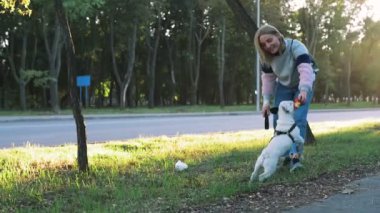 sevimli köpek kadın günbatımı zamanı yolda yakınında sokakta Close-Up