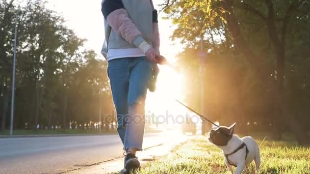 かわいい犬の道で緑の草の上に若いブロンドの女性 — ストック動画