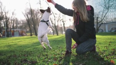 sevimli küçük köpek kadınla
