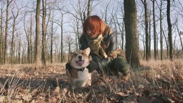 Woman Protect Uniform Gun Autumn Forest Play Dog — Stock Video
