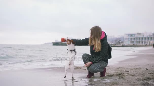 Mujer con lindo perrito — Vídeos de Stock