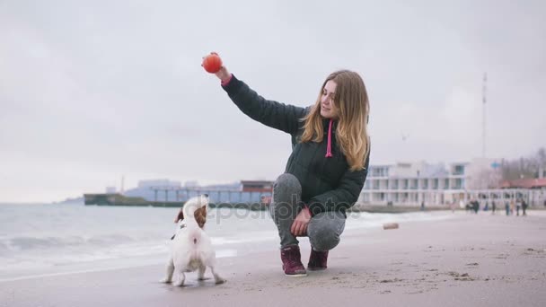 かわいい犬を持つ女性 ストック映像