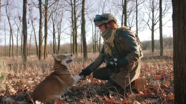 女性保護犬と秋の森遊びで銃を持つ制服 ロイヤリティフリーストック映像