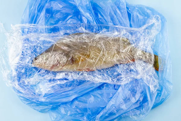 World Oceans Day. Dead fish in a plastic bag, concept to protect the oceans.