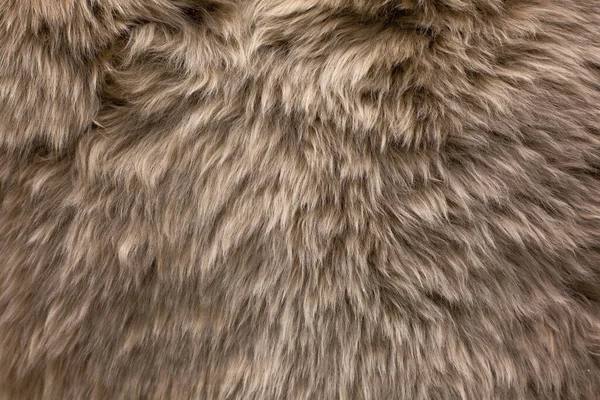 Handmade fluffy carpet texture, closeup. Wallpaper.