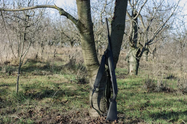 Gros plan d'un fusil de chasse près d'un arbre sec dans la forêt d'automne. La période de chasse, la saison d'automne est ouverte, la recherche de proies — Photo