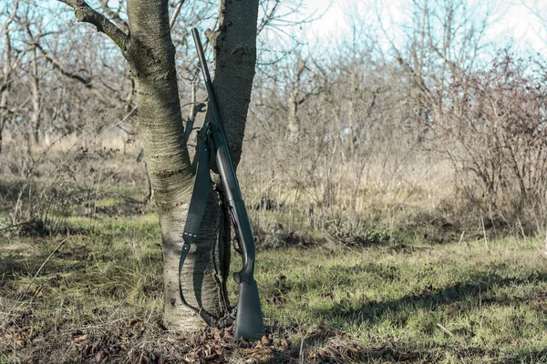 Крупним планом мисливська рушниця біля сухого дерева в осінньому лісі. Період полювання, осінній сезон відкритий, пошук здобичі — стокове фото