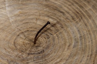 Ahşap arka planda eski paslı bir çivi