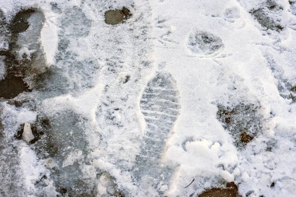 Imprint of a woman\'s sole of shoes in the snow. Top view