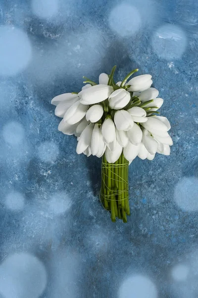 Beautiful White Snowdrops Galanthus Nivalis Blue Background Bokeh Top View — 스톡 사진