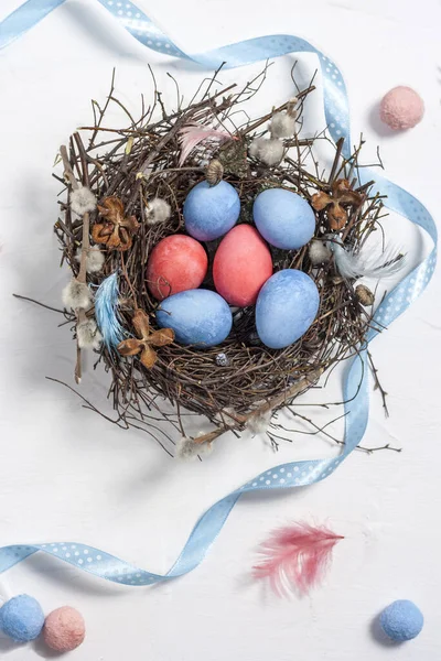 Painted Easter quail eggs in a nest of twigs with willow and feathers on a white texture background with copy space. Top view.