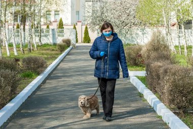 Coronavirus. Yüz maskesi ve lastik eldivenli bir kadın, köpeğini Coronavirus sırasında evine yürüyüşe götürür, evcil hayvanına bakar. Coronavirus sırasında kısa yürüyüşler. Köpekle karantina