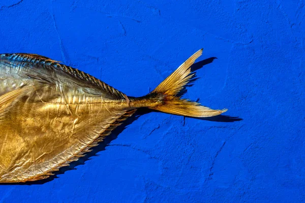 Cauda Fumado Oceânico Peixe Vomer Selena Fundo Azul Vista Superior — Fotografia de Stock