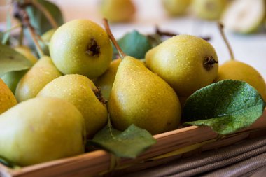 Beyaz ahşap yapraklı taze organik armut meyveleri.