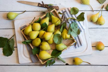Beyaz ahşap yapraklı taze organik armut meyveleri.