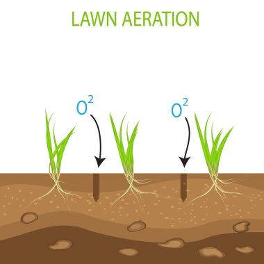 Bahçe işleri, manzara tasarım hizmetleri. Beyaz arka planda vektör. Hava avantajı bağlamında yeşil çimenli. Beyaz arka planda izole edilmiş.
