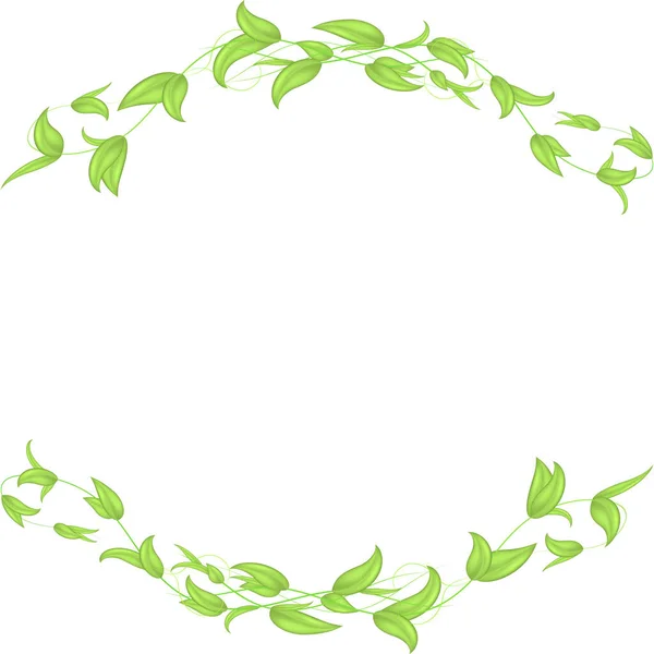 叶柄叶柄的水平矢量边框 呈拱形 在白色背景上隔离 — 图库矢量图片