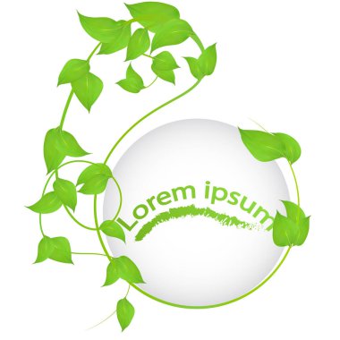 Beyaz arkaplan üzerinde izole edilmiş taze yeşil yapraklı dalların yuvarlak çerçevesi