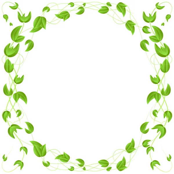 Коло Зеленого Листя Гілці Кордон Ізольовано Білому Тлі Рамка Листівки — стоковий вектор