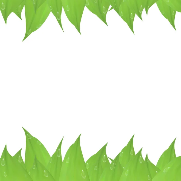 Design Della Carta Verde Vettoriale Isolato Sfondo Bianco Cornice Foglie — Vettoriale Stock