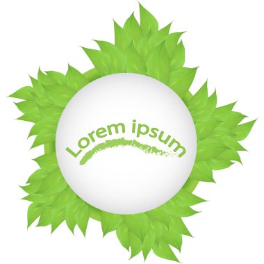 Vektör. Beyaz arka planda yaprakları olan yuvarlak dallar. Yeşil yapraklar daire şeklinde. Metin için vektör yaprakları ve boşluk. Pankart sunumu, tasarım için boş, lorem ipsum