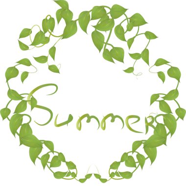 Beyaz arka planda izole edilmiş süsleme olayları için yazlık yazı yazılarıyla yapraklardan ve dallardan yapılmış vektör çerçevesi bir kartpostal reklamını silip süpürüyor.