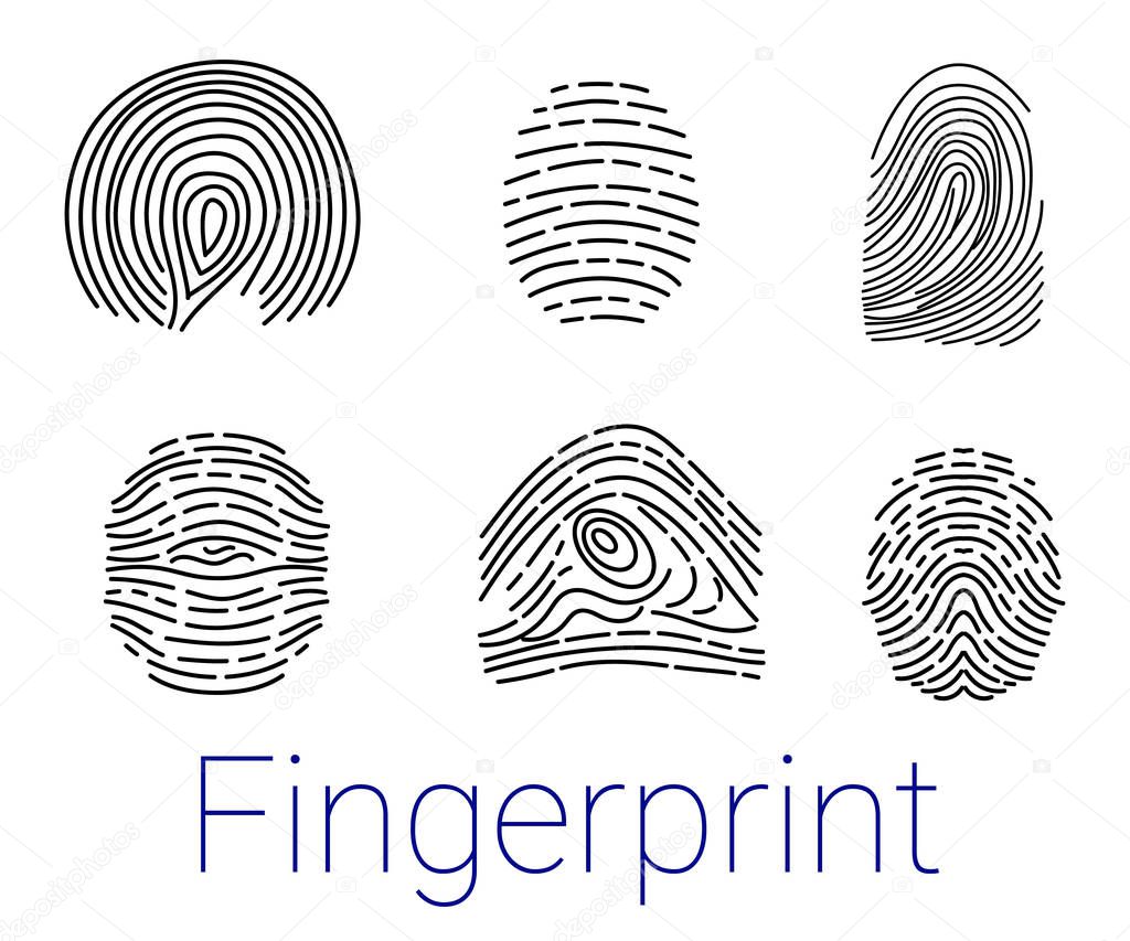 Set of various fingerprints loops, curls, patterns. Vector illustration.