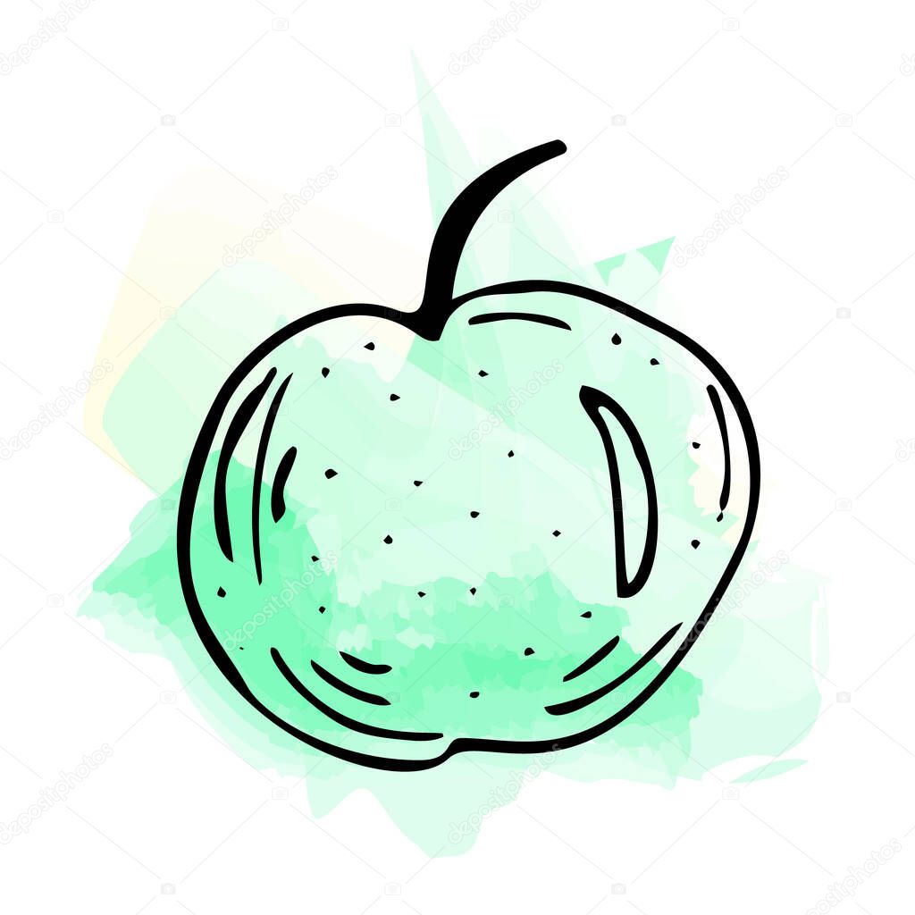 Imitation of watercolor paint. Bright and juicy illustration of a green apple on a white background.