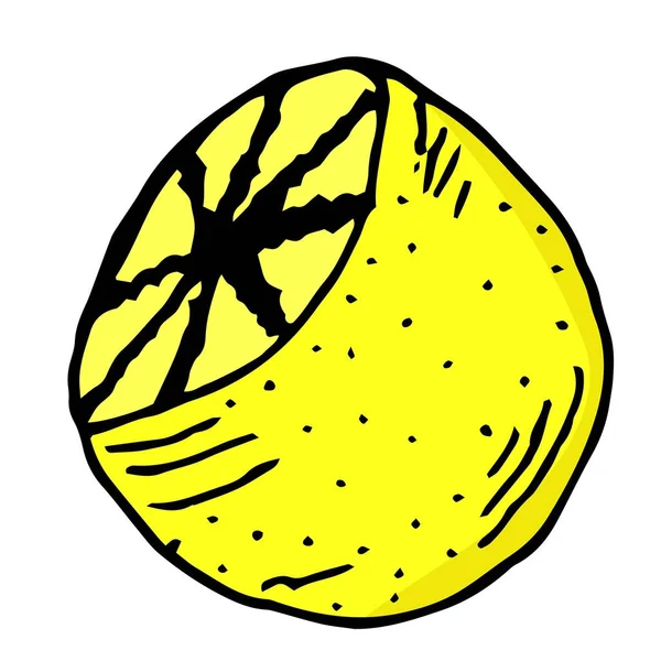 Vektör suluboya el Ekşi limon sulu boya damla ile çekilmiş. Organik gıda illüstrasyon.