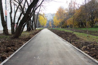Asfalt yürüyüş yolu. Sonbahar şehir manzarası, siyah bir asfalt yolu. sarı yapraklar