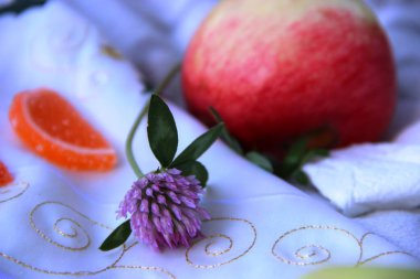 Yonca çiçeği, yakın plan. Portakal reçeli dilimleri ve kırmızı elma, seçici odaklanma. piknik