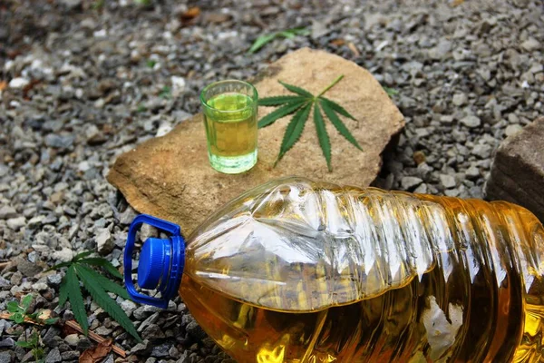 Kenevir özü, gıda endüstrisi için kenevir yağı üretimi. Bir bardak kenevir yağı, yeşil marihuana yaprağı ve büyük bir taşın üzerinde plastik bir şişe, seçici bir odak noktası..