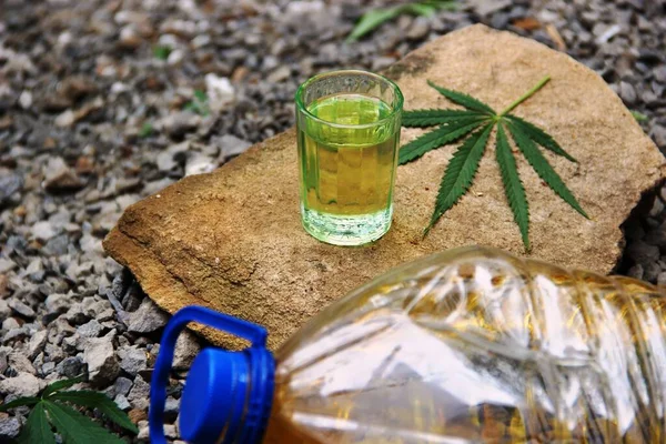 Bir bardak kenevir yağı, yeşil marihuana yaprağı ve büyük bir taşın üzerinde plastik bir şişe, seçici bir odak noktası. kenevir özü, gıda endüstrisi için kenevir yağı üretimi